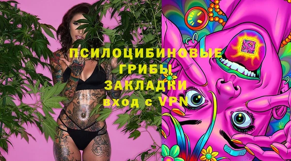 дурь Алексеевка