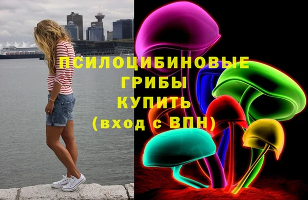 гидропоника Алзамай