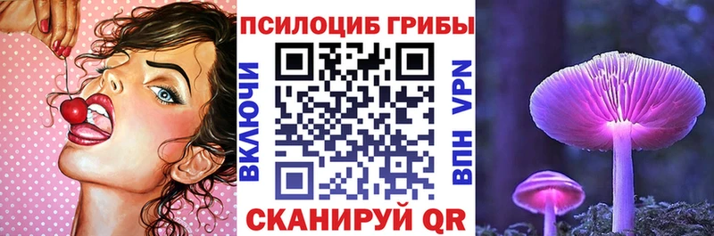 магазин продажи наркотиков  Мегион  Псилоцибиновые грибы Magic Shrooms 