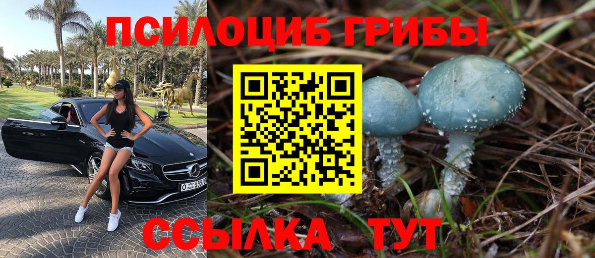 купить наркоту  Вход с VPN  Мегион  Псилоцибиновые грибы GOLDEN TEACHER 